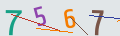 verifycode